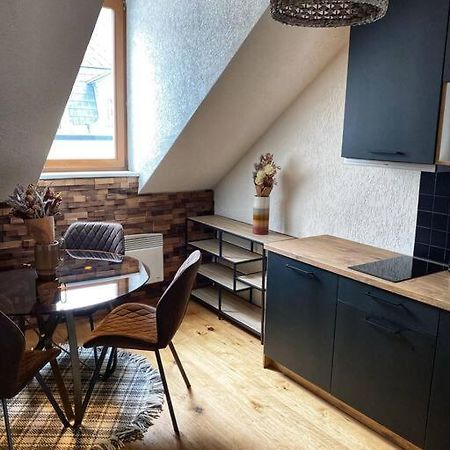 Cozy And Warm Apartment In The Heart Of Karlsbad エクステリア 写真